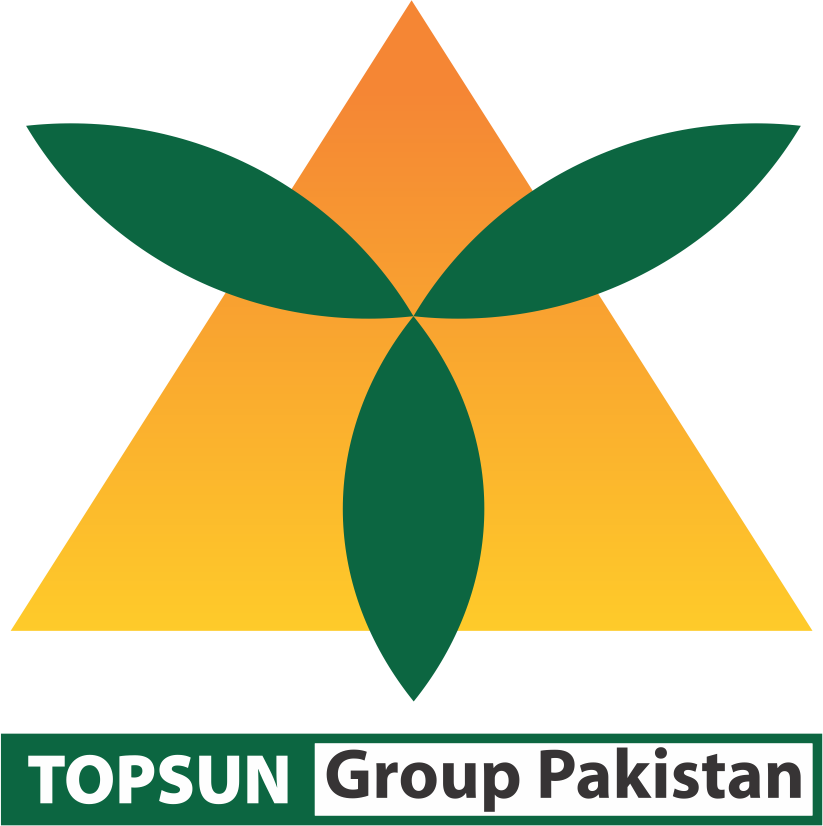 TS Group Logo